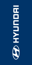 Blue,Hyundai(logo),90x180cm