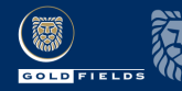 Blue, Gold Fields(logo),180x90cm