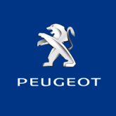 Blue, PEUGEOT(logo),150x150cm