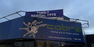 Family Arts Trial Banner