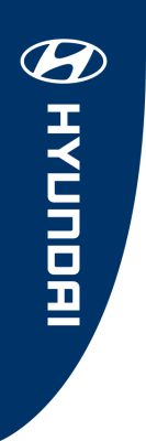 Blue, Hyundai(logo),150x450cm