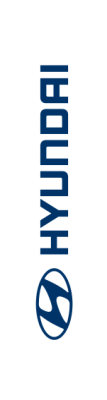 White, Hyundai(logo),80x300cm