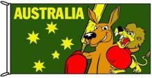 Fighting Kangaroo Cricket
