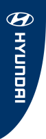 Blue, Hyundai(logo),150x450cm
