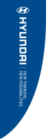 Blue, Hyundai, Thinking New Perpectives(logo),90x270cm, Premier Flag