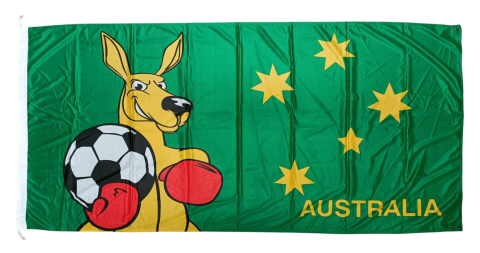 Fighting Kangaroo with Football