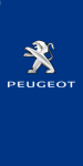 Blue,Peugeot,90x180cm