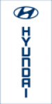 Hyundai White Logo Stacked